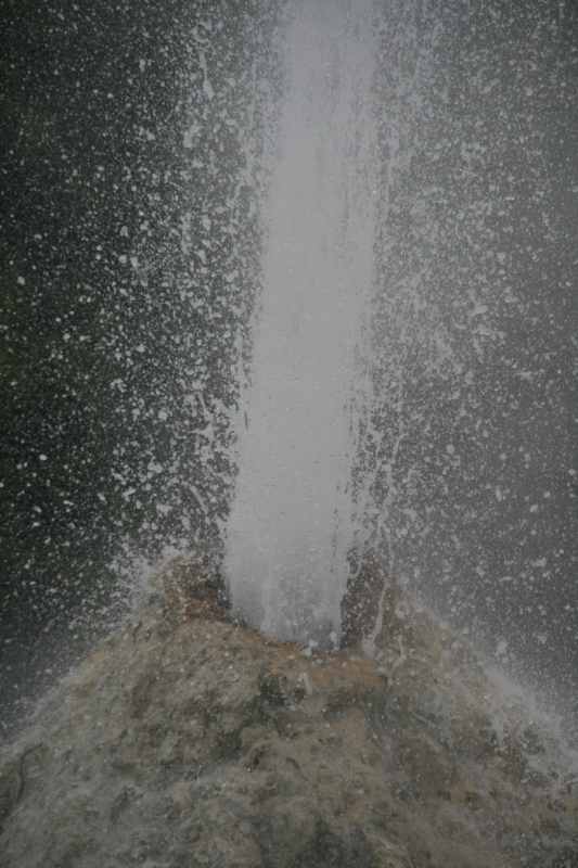 Nieuw-Zeeland 2011 - 0676